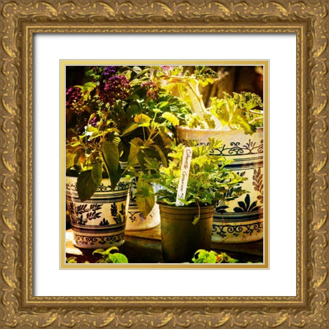 New April Garden II Gold Ornate Wood Framed Art Print with Double Matting by Hausenflock, Alan