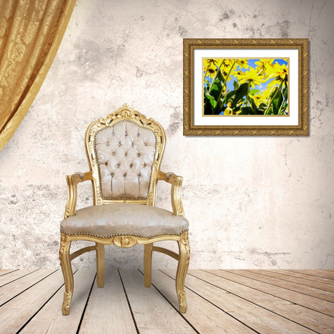 Yellow Daisies Gold Ornate Wood Framed Art Print with Double Matting by Hausenflock, Alan