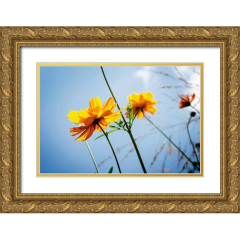 Reaching for the Sun II Gold Ornate Wood Framed Art Print with Double Matting by Hausenflock, Alan