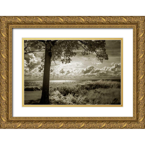 Cobb Island Afternoon I Gold Ornate Wood Framed Art Print with Double Matting by Hausenflock, Alan