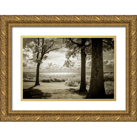 Cobb Island Afternoon II Gold Ornate Wood Framed Art Print with Double Matting by Hausenflock, Alan