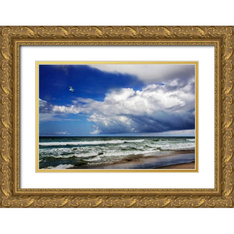 Awesome Beach Day II Gold Ornate Wood Framed Art Print with Double Matting by Hausenflock, Alan