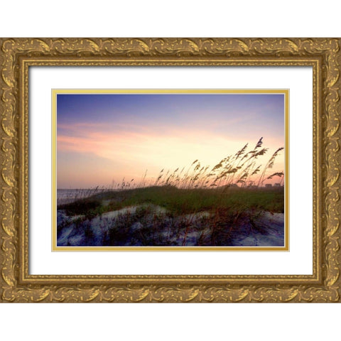 Rosey Sunset II Gold Ornate Wood Framed Art Print with Double Matting by Hausenflock, Alan