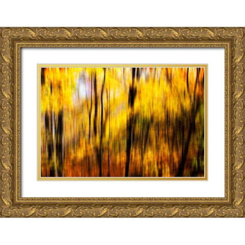 Autumn Impressions I Gold Ornate Wood Framed Art Print with Double Matting by Hausenflock, Alan