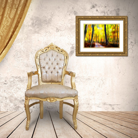 Autumn Impressions III Gold Ornate Wood Framed Art Print with Double Matting by Hausenflock, Alan