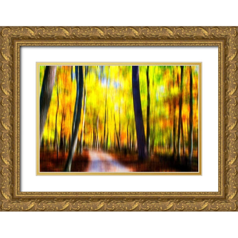 Autumn Impressions III Gold Ornate Wood Framed Art Print with Double Matting by Hausenflock, Alan