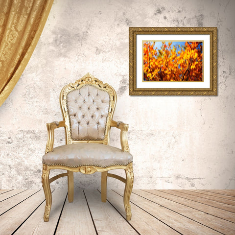 Autumn Impressions V Gold Ornate Wood Framed Art Print with Double Matting by Hausenflock, Alan