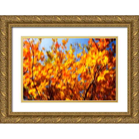 Autumn Impressions V Gold Ornate Wood Framed Art Print with Double Matting by Hausenflock, Alan