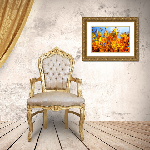 Autumn Impressions VI Gold Ornate Wood Framed Art Print with Double Matting by Hausenflock, Alan