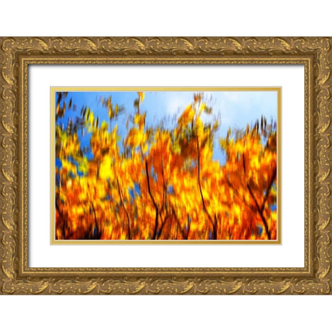 Autumn Impressions VI Gold Ornate Wood Framed Art Print with Double Matting by Hausenflock, Alan