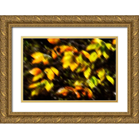 Autumn Impressions VIII Gold Ornate Wood Framed Art Print with Double Matting by Hausenflock, Alan