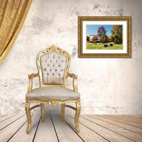 Autumn Scene I Gold Ornate Wood Framed Art Print with Double Matting by Hausenflock, Alan