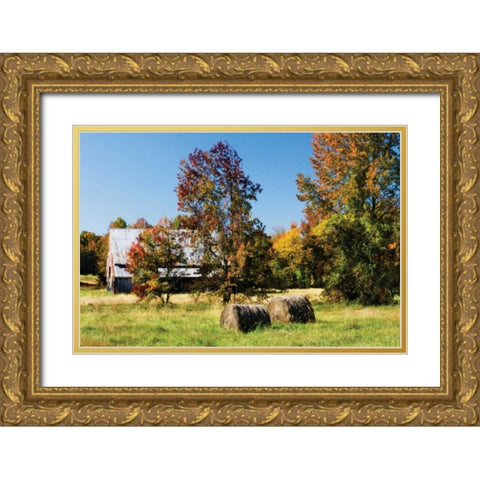 Autumn Scene I Gold Ornate Wood Framed Art Print with Double Matting by Hausenflock, Alan