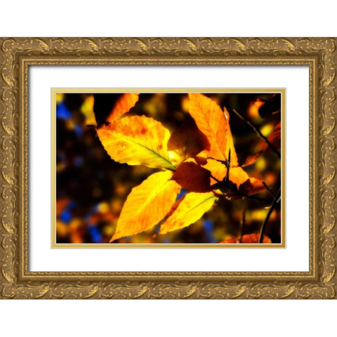 Autumn Impressions X Gold Ornate Wood Framed Art Print with Double Matting by Hausenflock, Alan