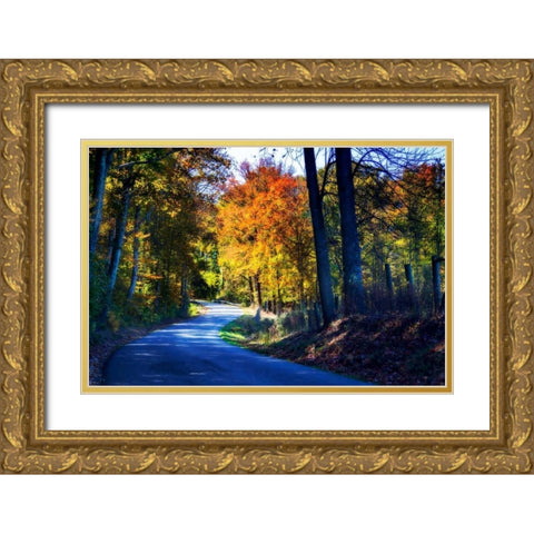 Twisting Autumn Road I Gold Ornate Wood Framed Art Print with Double Matting by Hausenflock, Alan
