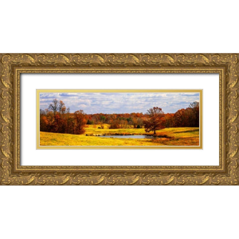 Trees of Crimson Gold Ornate Wood Framed Art Print with Double Matting by Hausenflock, Alan