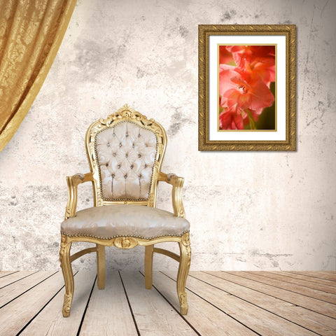 Bella Rosa I Gold Ornate Wood Framed Art Print with Double Matting by Hausenflock, Alan