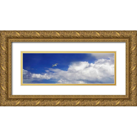 Gull Above the Sea II Gold Ornate Wood Framed Art Print with Double Matting by Hausenflock, Alan