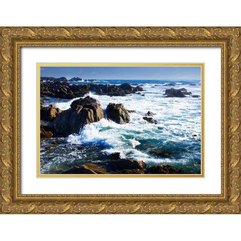 Churning Surf Gold Ornate Wood Framed Art Print with Double Matting by Hausenflock, Alan