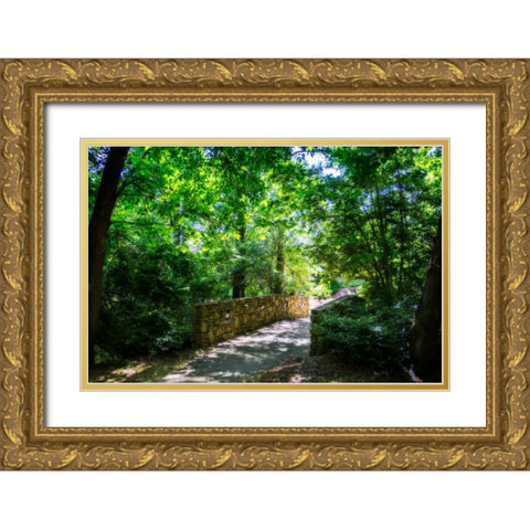 Shaded Bridge I Gold Ornate Wood Framed Art Print with Double Matting by Hausenflock, Alan