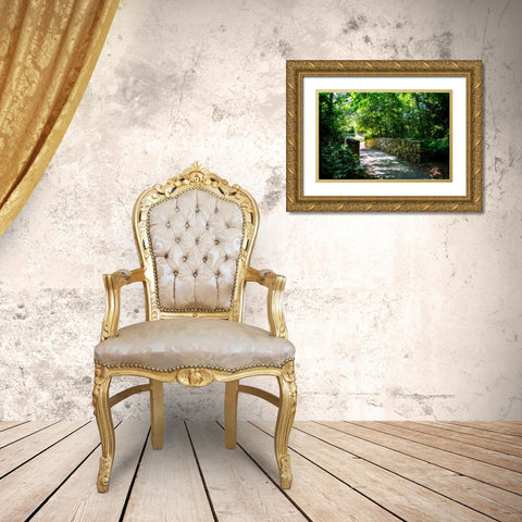 Shaded Bridge II Gold Ornate Wood Framed Art Print with Double Matting by Hausenflock, Alan