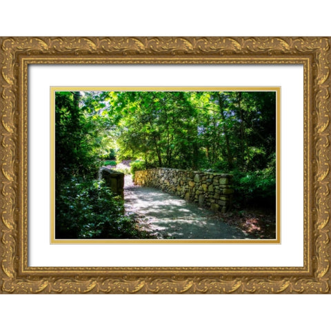 Shaded Bridge II Gold Ornate Wood Framed Art Print with Double Matting by Hausenflock, Alan