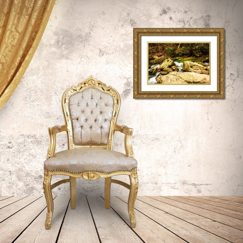 Covington Woods I Gold Ornate Wood Framed Art Print with Double Matting by Hausenflock, Alan