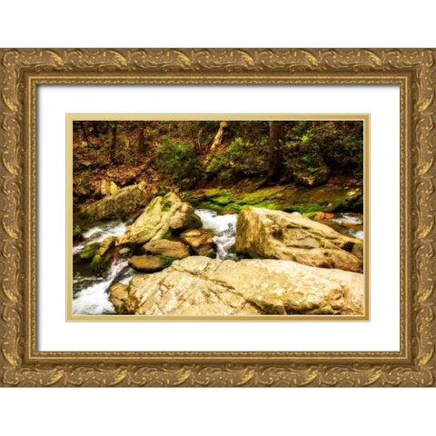 Covington Woods I Gold Ornate Wood Framed Art Print with Double Matting by Hausenflock, Alan