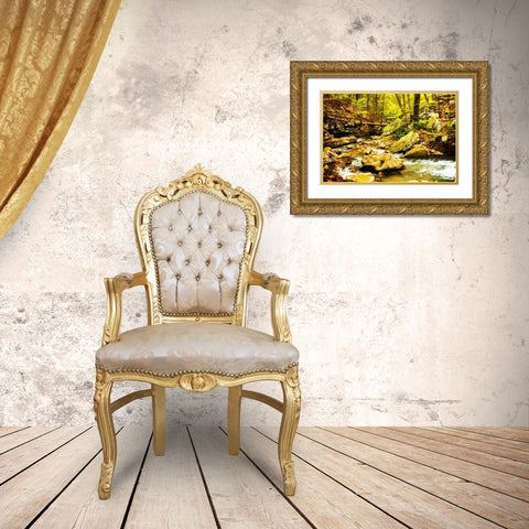 Covington Woods II Gold Ornate Wood Framed Art Print with Double Matting by Hausenflock, Alan