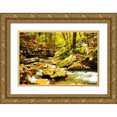 Covington Woods II Gold Ornate Wood Framed Art Print with Double Matting by Hausenflock, Alan