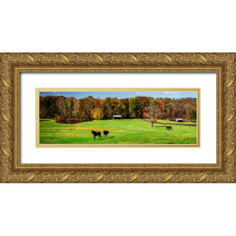 Virginia Horse Farm I Gold Ornate Wood Framed Art Print with Double Matting by Hausenflock, Alan