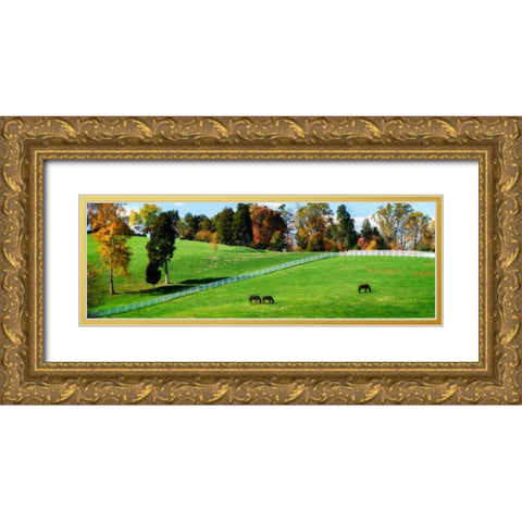 Virginia Horse Farm II Gold Ornate Wood Framed Art Print with Double Matting by Hausenflock, Alan