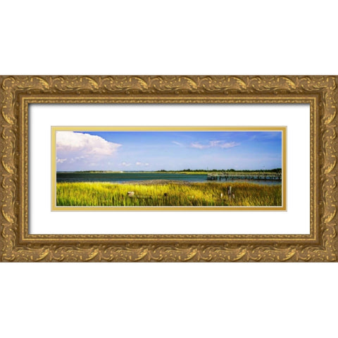 Newport River II Gold Ornate Wood Framed Art Print with Double Matting by Hausenflock, Alan