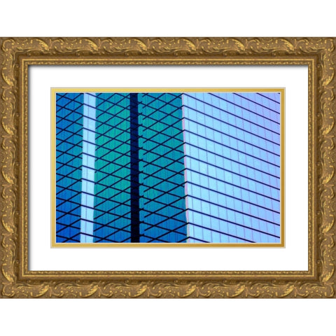 Glass and Steel I Gold Ornate Wood Framed Art Print with Double Matting by Hausenflock, Alan