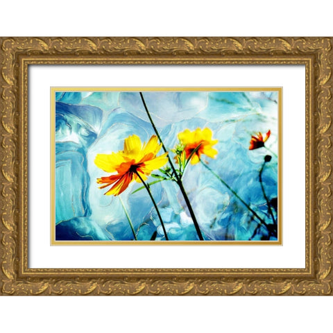 Reaching for the Sun IV Gold Ornate Wood Framed Art Print with Double Matting by Hausenflock, Alan