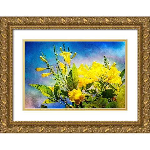 Flowers on Watercolor II Gold Ornate Wood Framed Art Print with Double Matting by Hausenflock, Alan