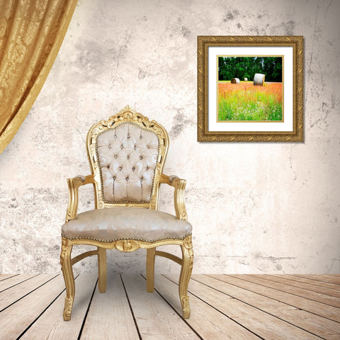 Spring Fields I Gold Ornate Wood Framed Art Print with Double Matting by Hausenflock, Alan