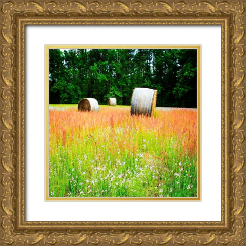 Spring Fields I Gold Ornate Wood Framed Art Print with Double Matting by Hausenflock, Alan