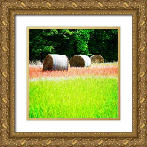 Spring Fields II Gold Ornate Wood Framed Art Print with Double Matting by Hausenflock, Alan