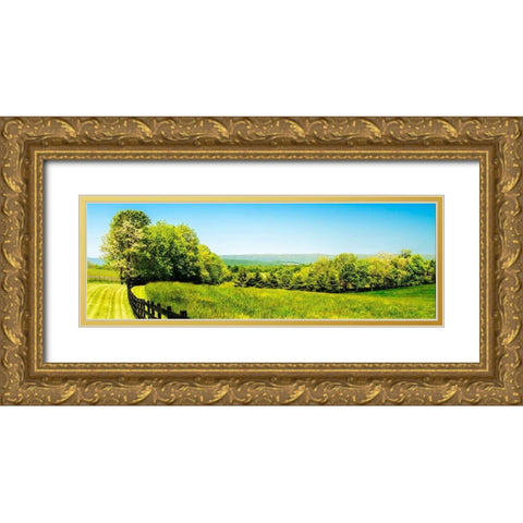 Mountain Vista II Gold Ornate Wood Framed Art Print with Double Matting by Hausenflock, Alan