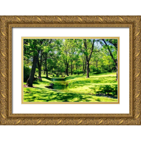 Gentle Stream I Gold Ornate Wood Framed Art Print with Double Matting by Hausenflock, Alan