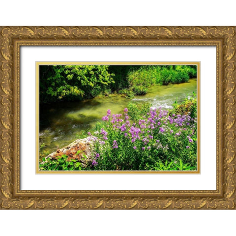 Gentle Stream III Gold Ornate Wood Framed Art Print with Double Matting by Hausenflock, Alan