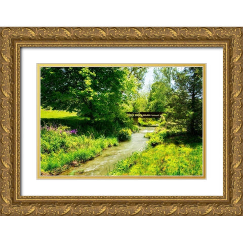 Gentle Stream IV Gold Ornate Wood Framed Art Print with Double Matting by Hausenflock, Alan