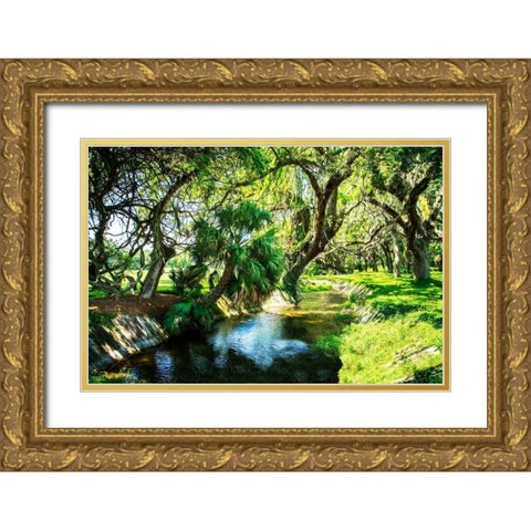 Saint Simons Waterway Gold Ornate Wood Framed Art Print with Double Matting by Hausenflock, Alan