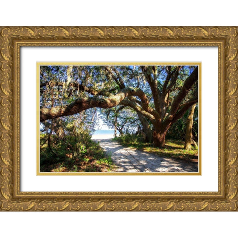 To the Beach Gold Ornate Wood Framed Art Print with Double Matting by Hausenflock, Alan