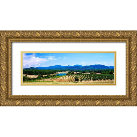 Virginia Vineyards I Gold Ornate Wood Framed Art Print with Double Matting by Hausenflock, Alan