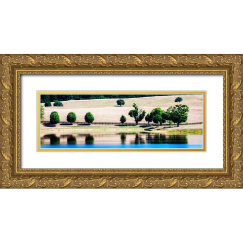 Virginia Vineyards II Gold Ornate Wood Framed Art Print with Double Matting by Hausenflock, Alan