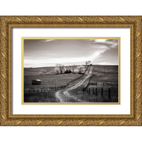 Lonely Road I Gold Ornate Wood Framed Art Print with Double Matting by Hausenflock, Alan