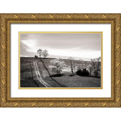 Lonely Road II Gold Ornate Wood Framed Art Print with Double Matting by Hausenflock, Alan