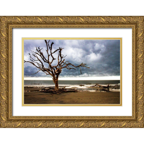 Storm is Coming I Gold Ornate Wood Framed Art Print with Double Matting by Hausenflock, Alan